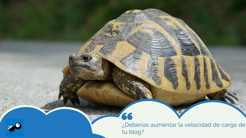 ¿Deberías aumentar la velocidad de carga de tu blog?