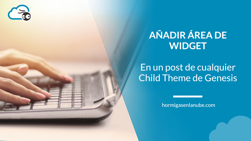 área de widget dentro de un post