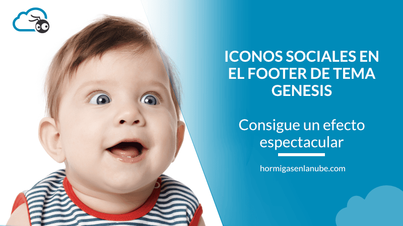 simple social iconos en el footer