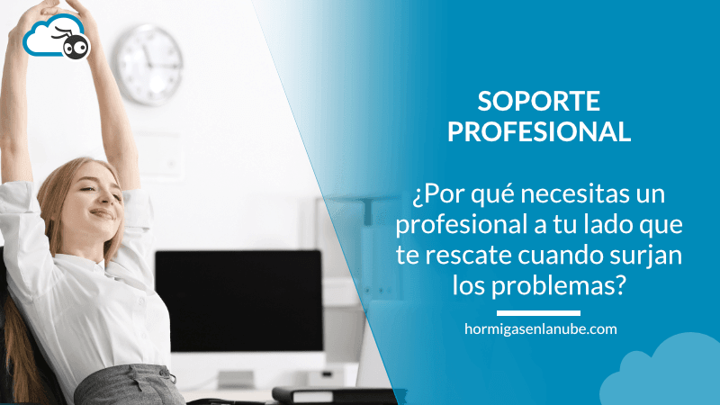 soporte profesional