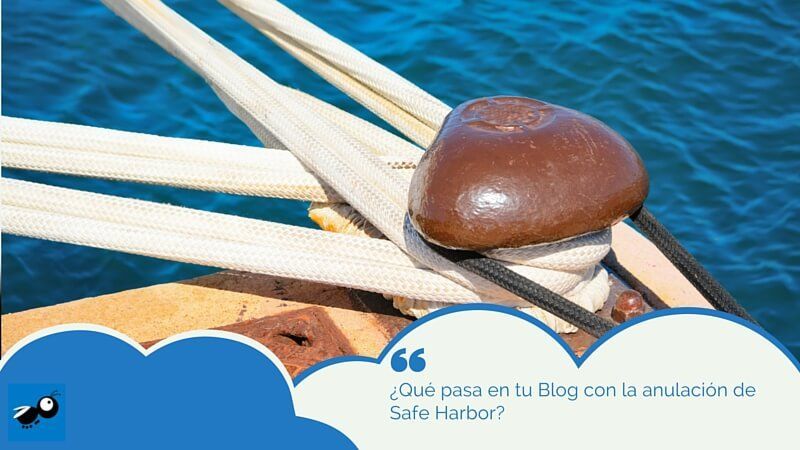 Safe Harbor