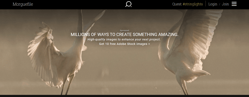 25 bancos de imágenes gratis para tu web o blog 7 Banco de imágenes gratis Morguefile