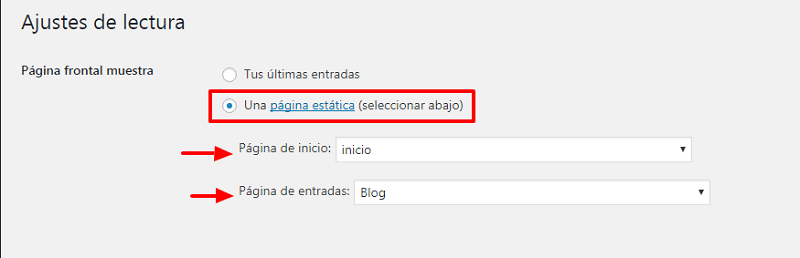 Las 10 cosas más importante que debes hacer después de instalar WordPress 6 Despues-instalar-wordpress-opciones-lectura