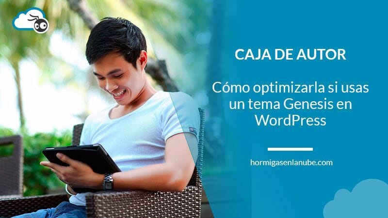 caja de autor en wordpress