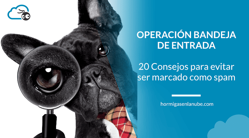 Cómo evitar ser marcado como spam
