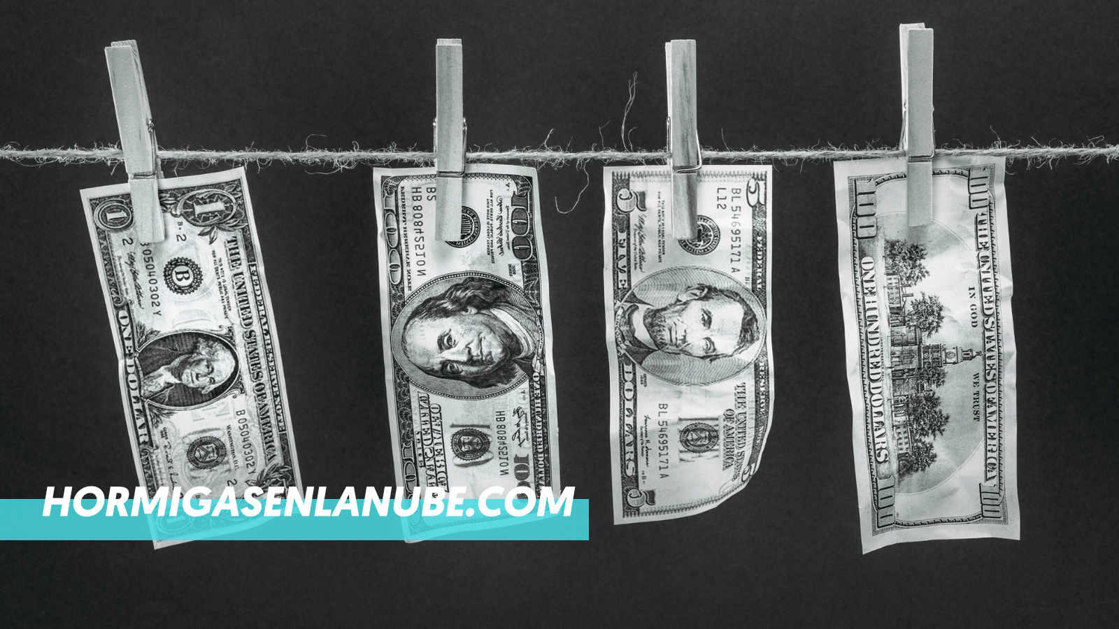 ¿Se puede ganar dinero con Webs de nicho?