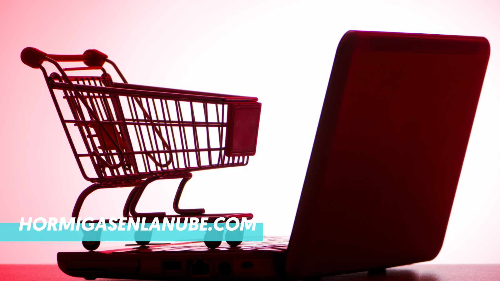 Crear un formulario de pago sencillo en WordPress